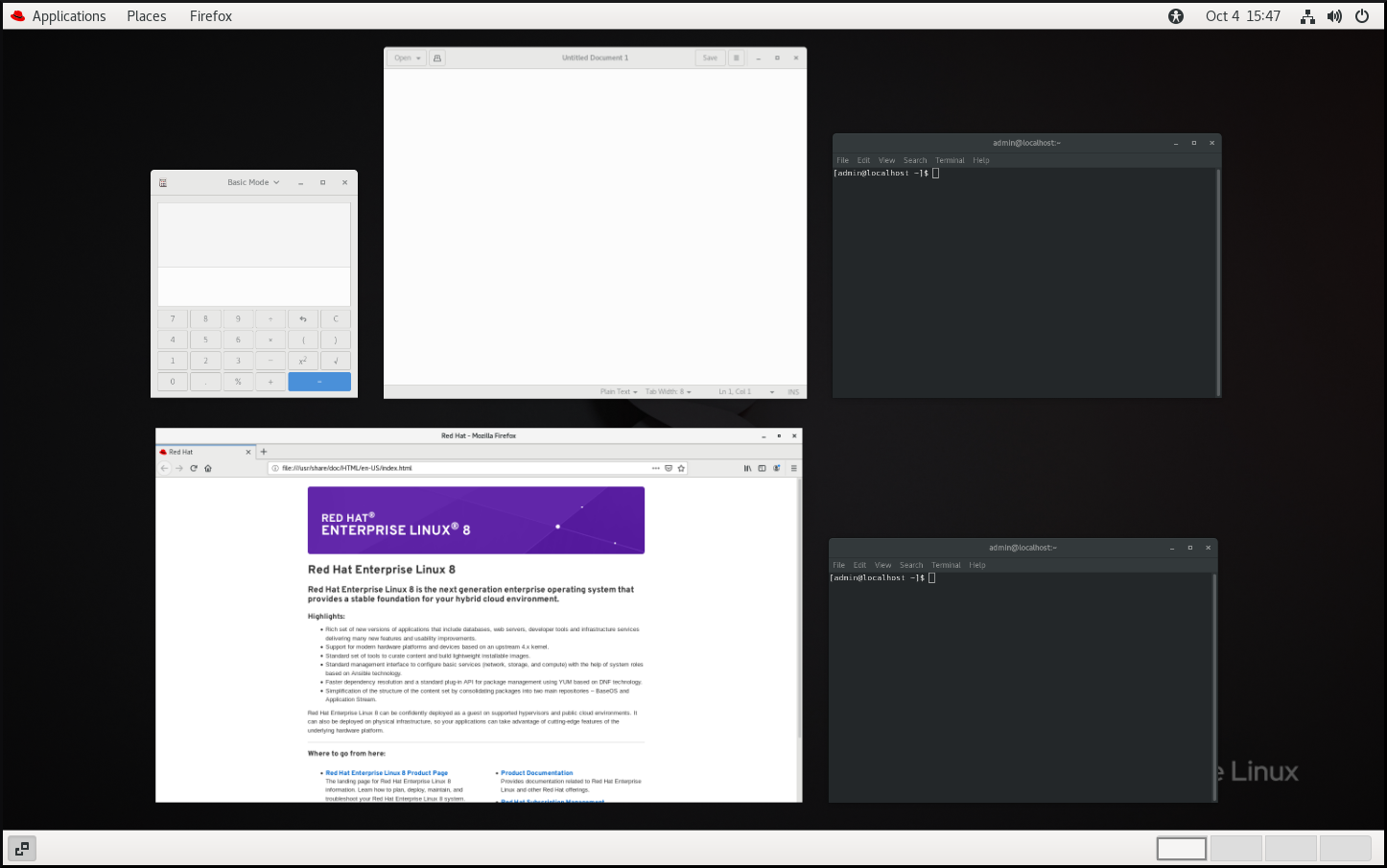 Window overview with "hasOverview": false