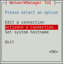 nmtui Activate a Connection