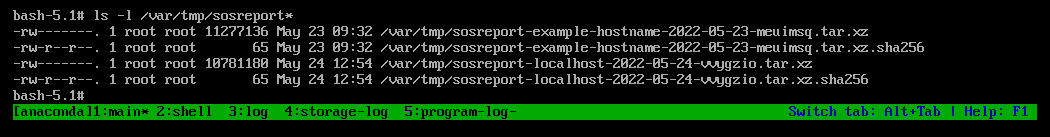 Screenshot of a terminal window displaying the results of a file listing of the /var/tmp/ directory