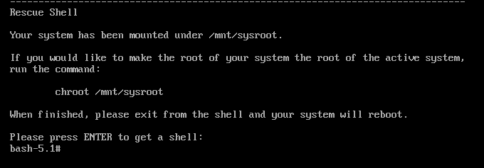 Screenshot of the Rescue screen prompting you to press the Enter key to receive a rescue shell prompt