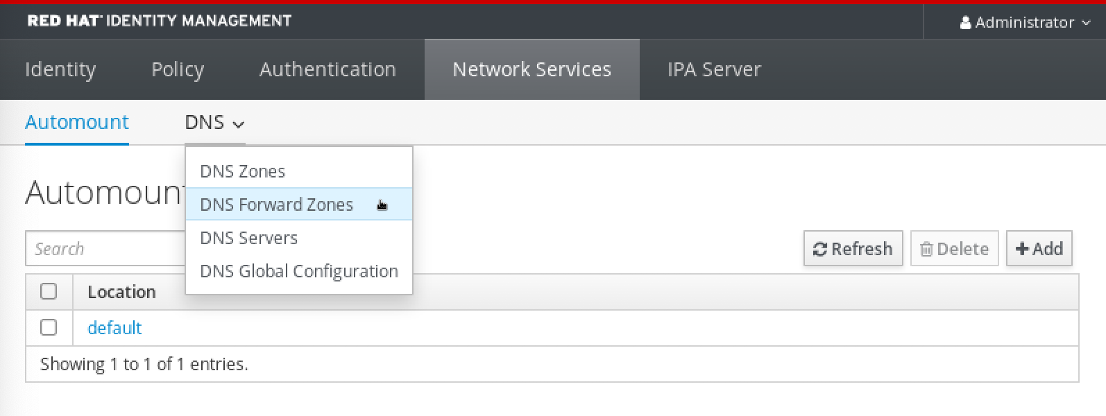 Selecting DNS Forward Zones from the DNS menu