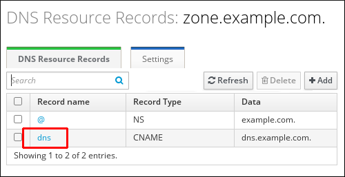 "DNS Resource Records"页面截图，显示 zone.example.com 区域的信息。"dns"记录名称的条目被突出显示。