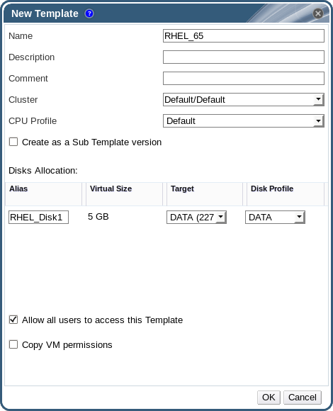 The New Template window