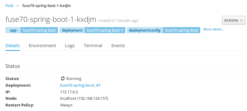 Detail view of the running pod for fuse70-spring-boot