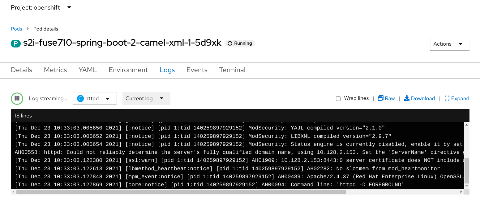 Spring Boot Camel XML build logs