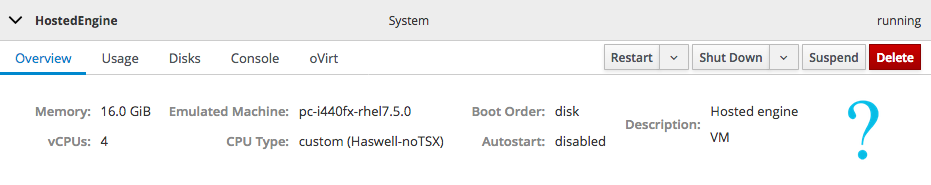 The Overview section of the virtual machine summary