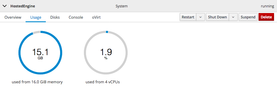 The Usage section of the virtual machine summary