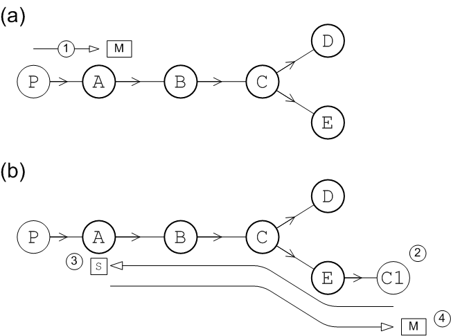 Dynamic Propagation of Queue Messages