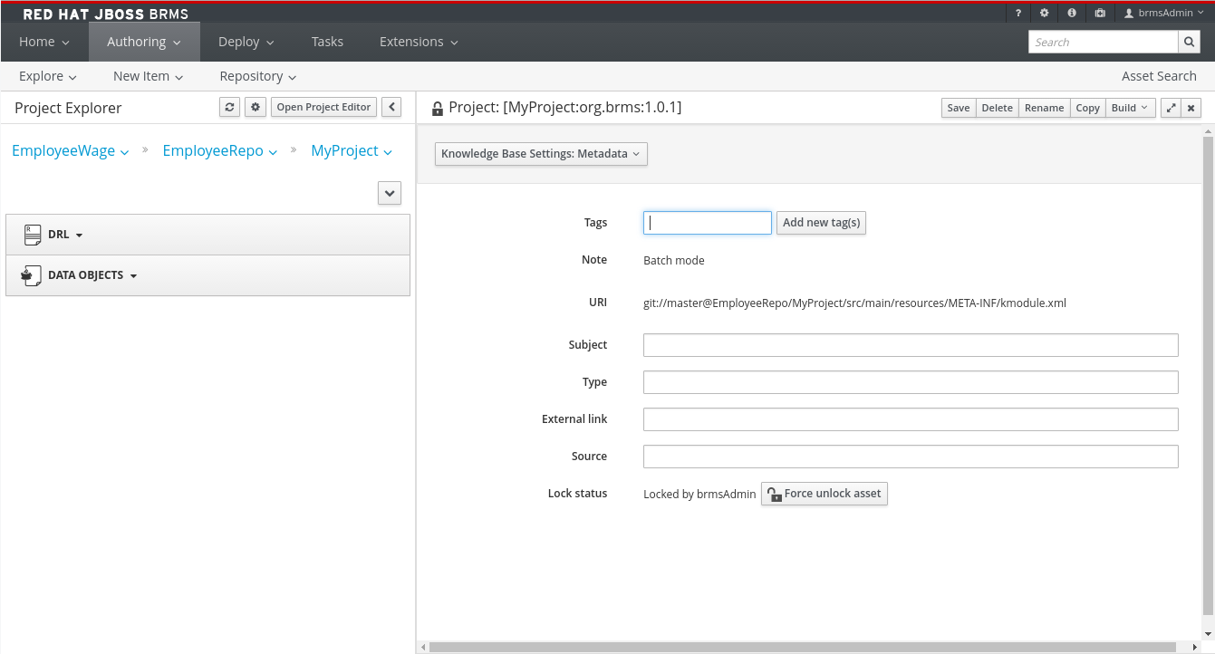 A screenshot of the BRMS Project Editor - Metadata Screen