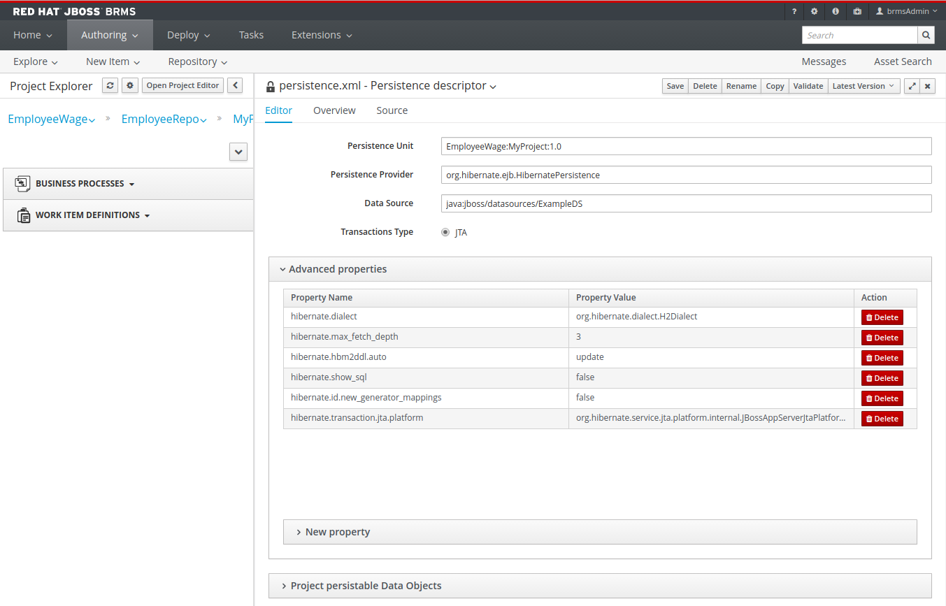 A screenshot of the BRMS Project Editor - Persistence Descriptor