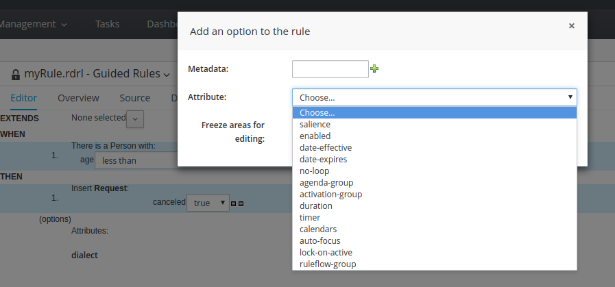 Guided Editor Rule Attributes