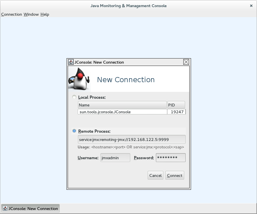 JConsole connecting to remote Data Grid server