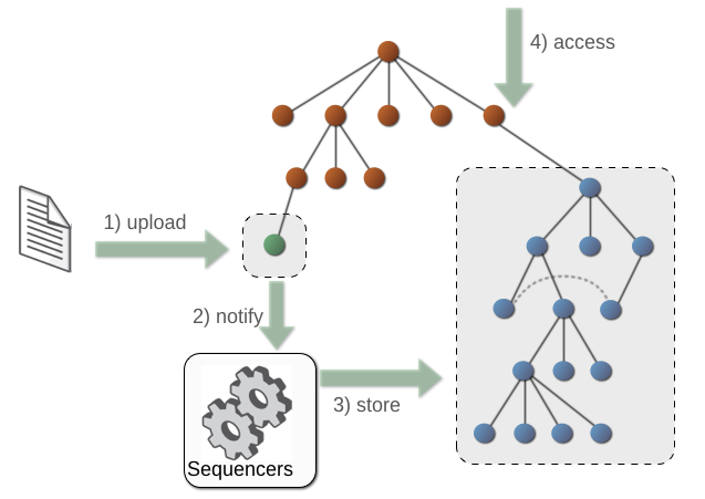 Sequencing Workflow