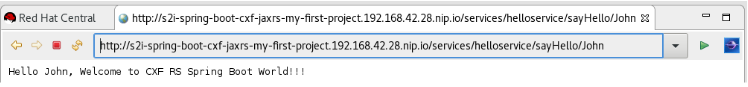 Viewing the s2i-spring-boot-cxf-jaxrs Application in the Web Browser