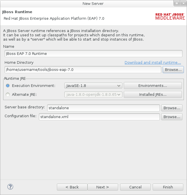 The *JBoss Runtime* window.