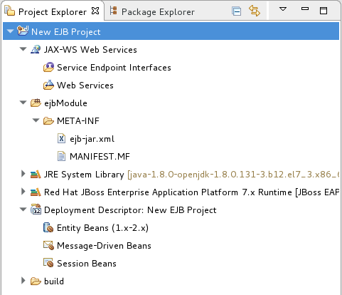Newly created EJB Project in the Project Explorer