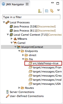 Local Camel Context tree expanded to source file input node