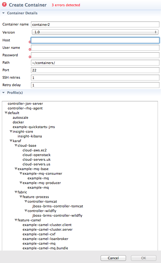 defaults for a new remote container