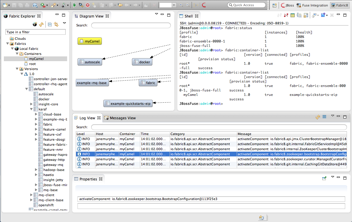 Fabric8 management perspective