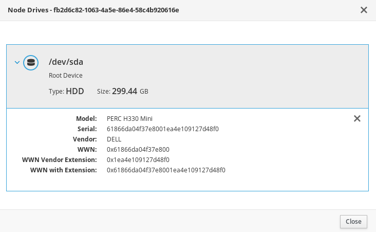 Disk Information in the Director’s UI