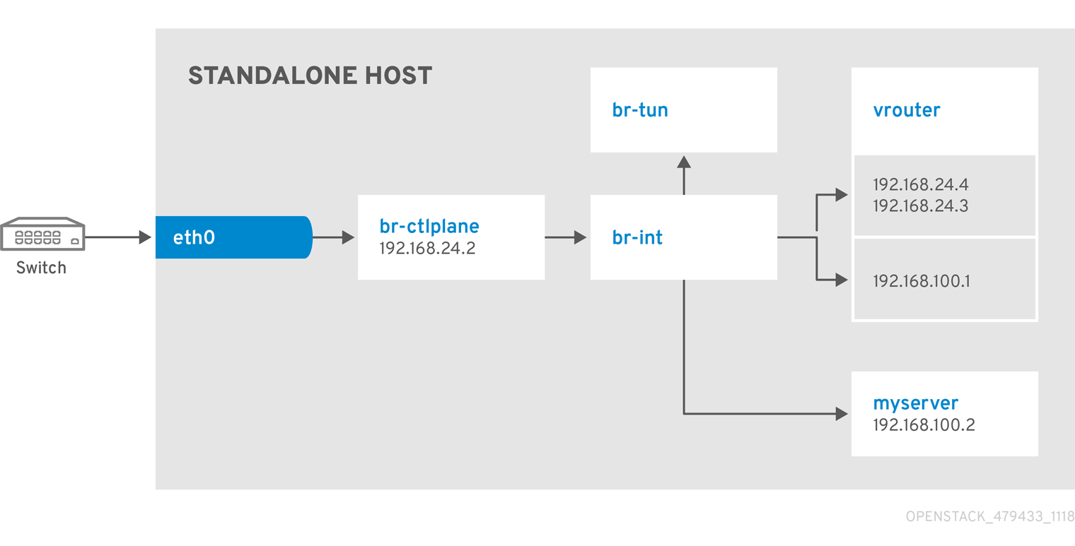 Standalone1NIC Tenant Provider