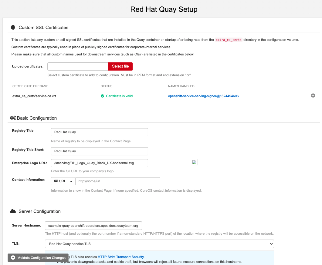 Config editor user interface