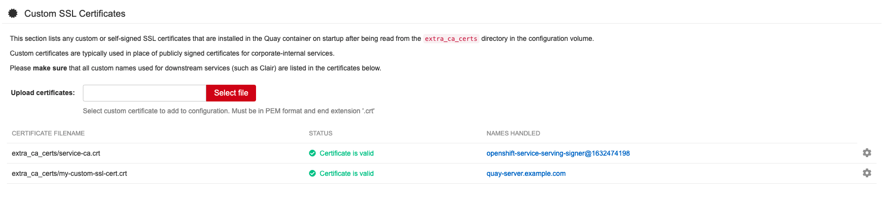 Custom SSL/TLS certificates