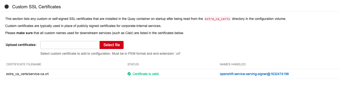 Custom SSL/TLS certificates