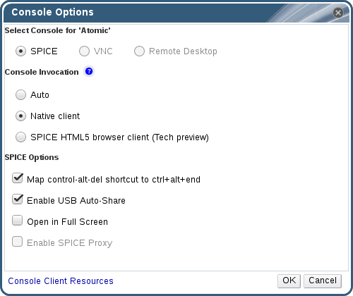 Console Options 窗口