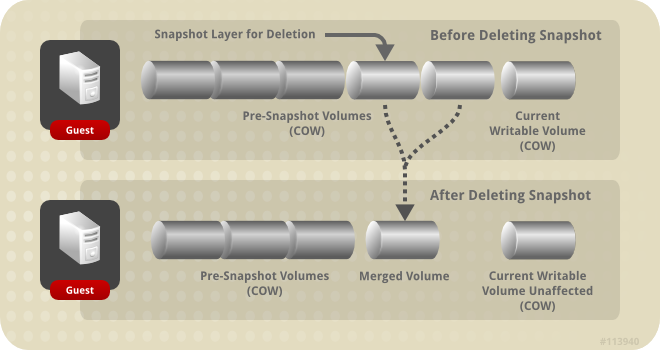 Snapshot Deletion