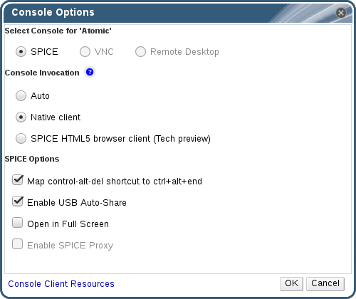 The Console Options window