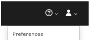 正确的 hawtio 中的数据