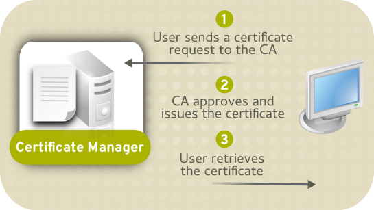 CA Only Certificate System